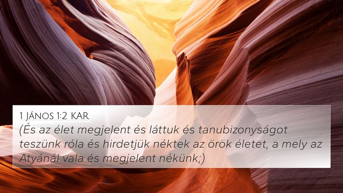 1 János 1:2 KAR Bible Verse Image