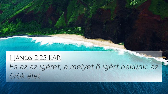 1 János 2:25 KAR Bible Verse Image