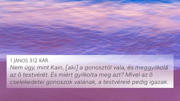 1 János 3:12 KAR Bible Verse Image