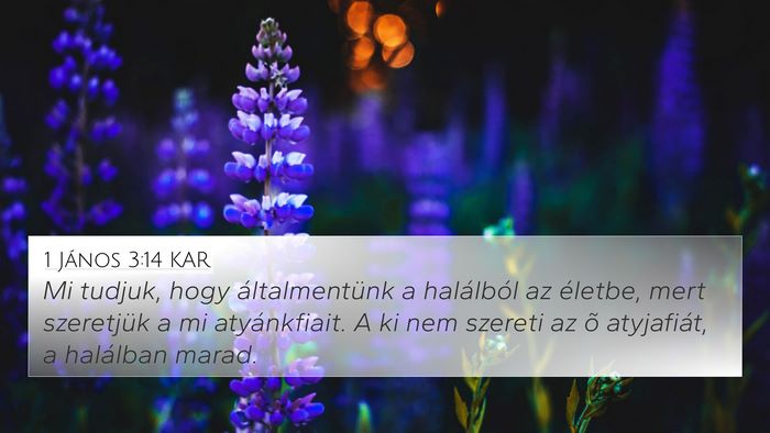 1 János 3:14 KAR Bible Verse Image