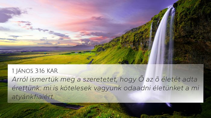 1 János 3:16 KAR Bible Verse Image