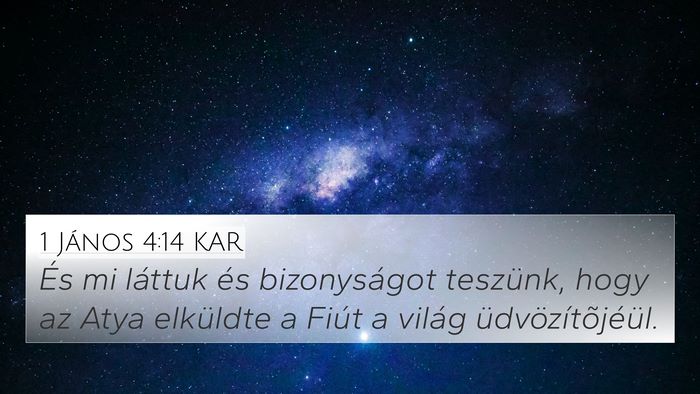 1 János 4:14 KAR Bible Verse Image