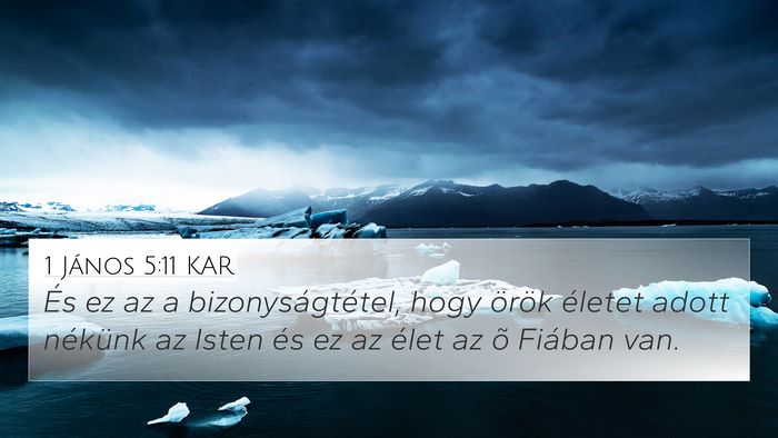 1 János 5:11 KAR Bible Verse Image