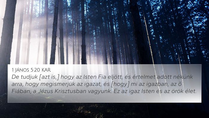 1 János 5:20 KAR Bible Verse Image