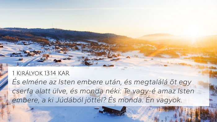 1 Királyok 13:14 KAR 4K Wallpaper - És elméne az Isten embere után, és - 4K Wallpaper Bible Verse
