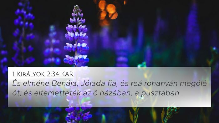 1 Királyok 2:34 KAR Bible Verse Image