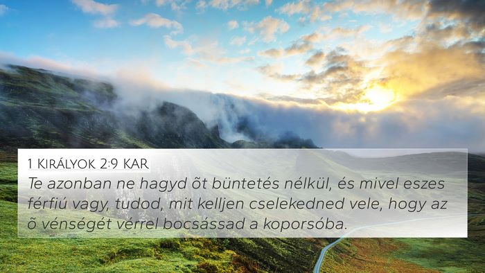 1 Királyok 2:9 KAR Bible Verse Image