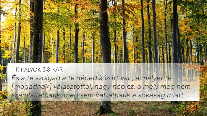 1 Királyok 3:8 KAR 4K Wallpaper - És a te szolgád a te néped között van, a - 4K Wallpaper Bible Verse