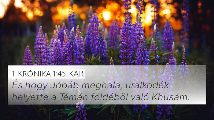 1 Krónika 1:45 KAR Bible Verse Image