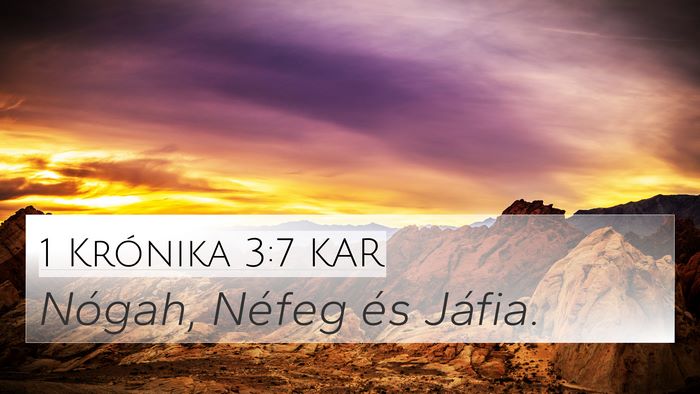 1 Krónika 3:7 KAR 4K Wallpaper - Nógah, Néfeg és - 4K Wallpaper Bible Verse