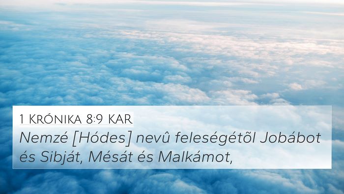 1 Krónika 8:9 KAR 4K Wallpaper - Nemzé [Hódes] nevû feleségétõl Jobábot és - 4K Wallpaper Bible Verse