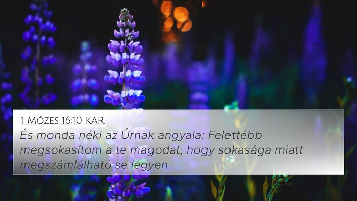 1 Mózes 16:10 KAR Bible Verse Image