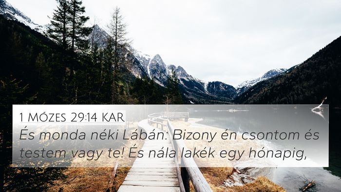 1 Mózes 29:14 KAR Bible Verse Image