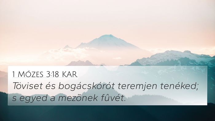 1 Mózes 3:18 KAR Bible Verse Image