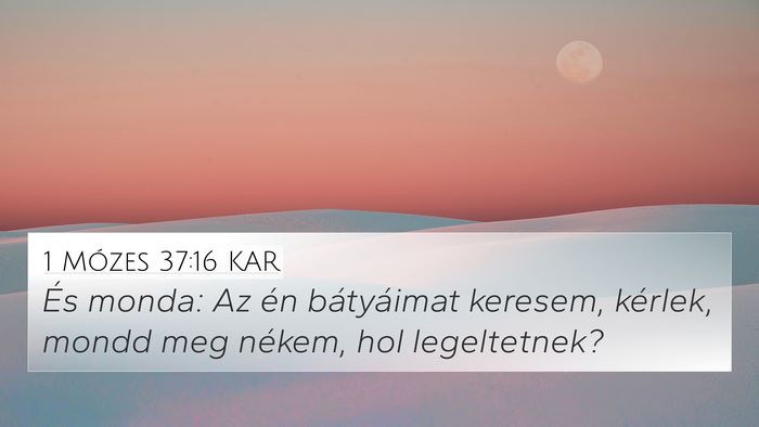 1 Mózes 37:16 KAR 4K Wallpaper - És monda: Az én bátyáimat keresem, kérlek, - 4K Wallpaper Bible Verse