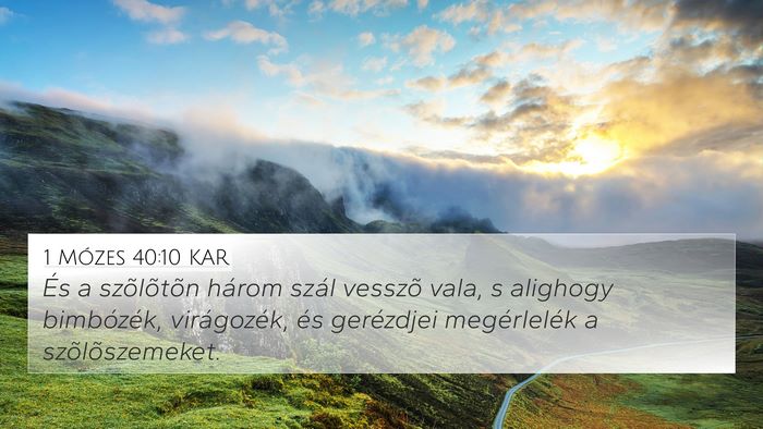 1 Mózes 40:10 KAR Bible Verse Image