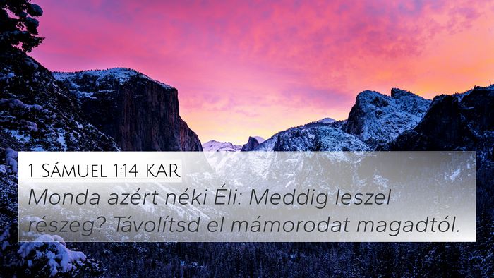 1 Sámuel 1:14 KAR 4K Wallpaper - Monda azért néki Éli: Meddig leszel részeg? - 4K Wallpaper Bible Verse