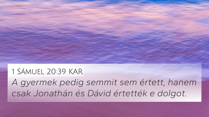 1 Sámuel 20:39 KAR 4K Wallpaper - A gyermek pedig semmit sem értett, hanem csak - 4K Wallpaper Bible Verse