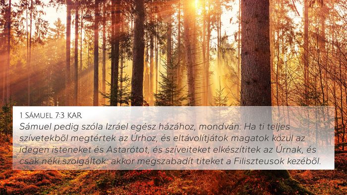 1 Sámuel 7:3 KAR Bible Verse Image