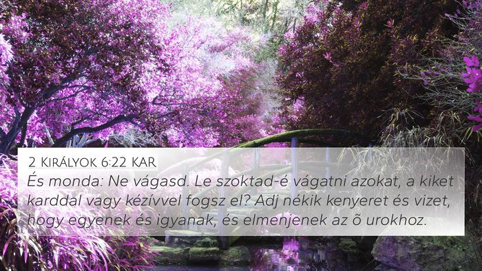 2 Királyok 6:22 KAR Bible Verse Image