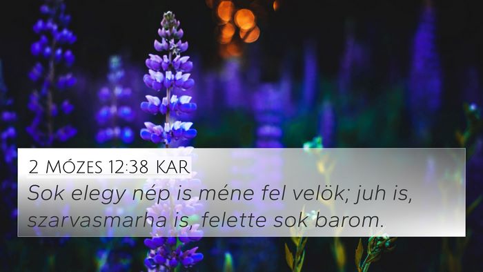 2 Mózes 12:38 KAR Bible Verse Image