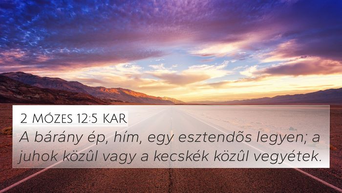 2 Mózes 12:5 KAR Bible Verse Image