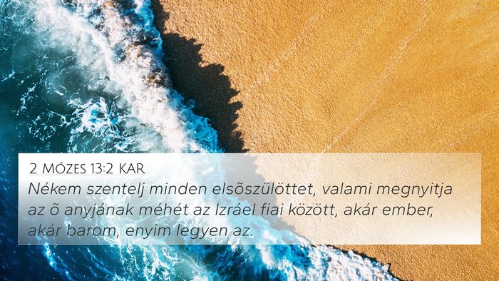 2 Mózes 13:2 KAR Bible Verse Image