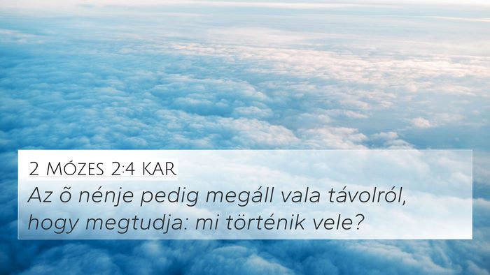 2 Mózes 2:4 KAR 4K Wallpaper - Az õ nénje pedig megáll vala távolról, hogy - 4K Wallpaper Bible Verse