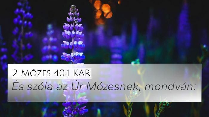 2 Mózes 40:1 KAR 4K Wallpaper - És szóla az Úr Mózesnek, - 4K Wallpaper Bible Verse