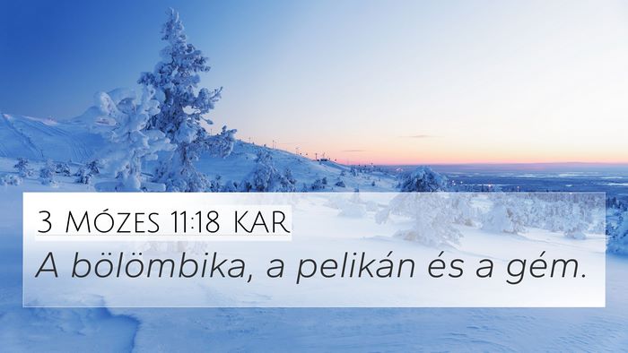 3 Mózes 11:18 KAR 4K Wallpaper - A bölömbika, a pelikán és a - 4K Wallpaper Bible Verse