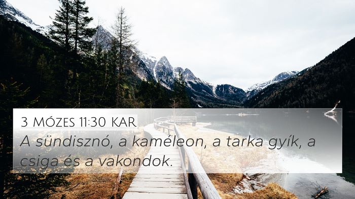 3 Mózes 11:30 KAR 4K Wallpaper - A sündisznó, a kaméleon, a tarka gyík, a - 4K Wallpaper Bible Verse