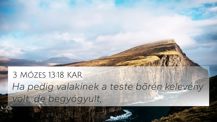 3 Mózes 13:18 KAR 4K Wallpaper - Ha pedig valakinek a teste bõrén kelevény - 4K Wallpaper Bible Verse