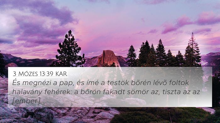 3 Mózes 13:39 KAR 4K Wallpaper - És megnézi a pap, és ímé a testök bõrén - 4K Wallpaper Bible Verse