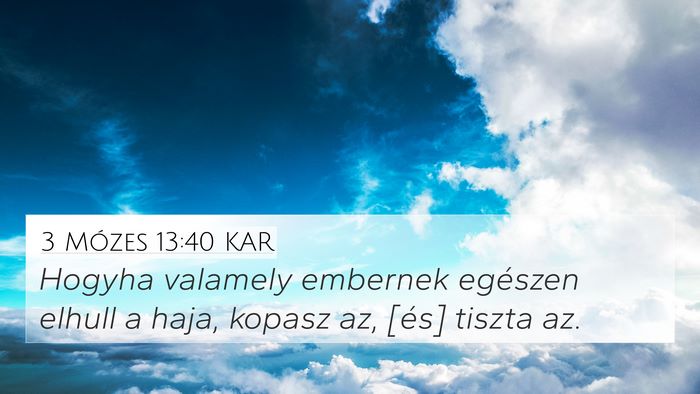 3 Mózes 13:40 KAR 4K Wallpaper - Hogyha valamely embernek egészen elhull a haja, - 4K Wallpaper Bible Verse