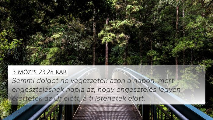 3 Mózes 23:28 KAR Bible Verse Image