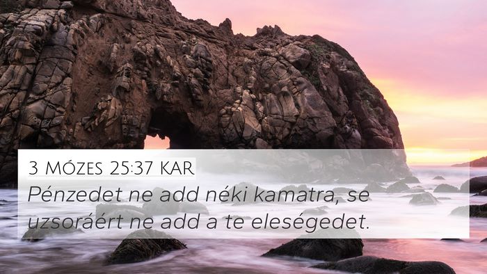 3 Mózes 25:37 KAR 4K Wallpaper - Pénzedet ne add néki kamatra, se uzsoráért ne - 4K Wallpaper Bible Verse