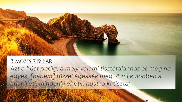 3 Mózes 7:19 KAR 4K Wallpaper - Azt a húst pedig, a mely valami tisztátalanhoz - 4K Wallpaper Bible Verse