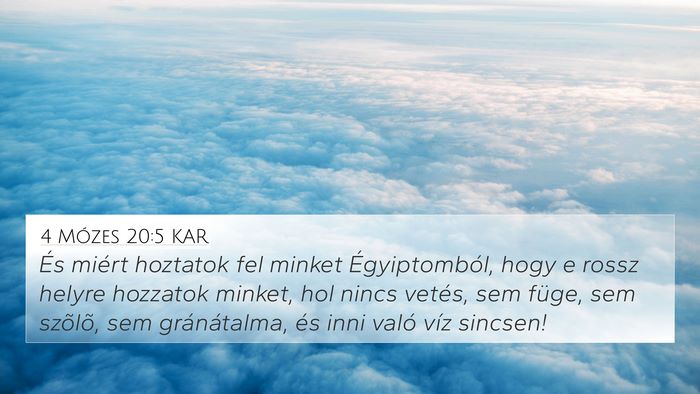 4 Mózes 20:5 KAR Bible Verse Image