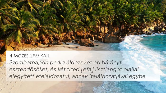4 Mózes 28:9 KAR Bible Verse Image