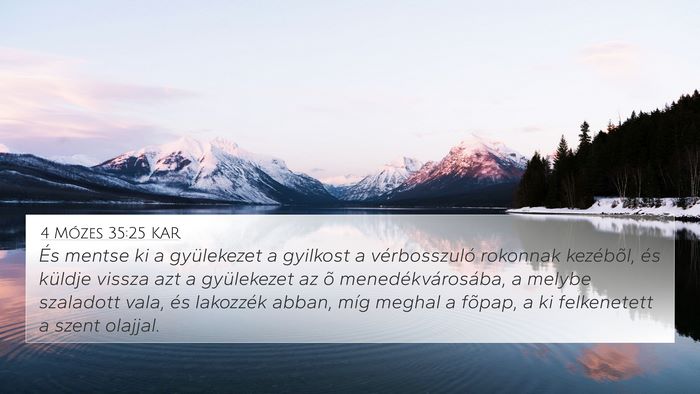 4 Mózes 35:25 KAR Bible Verse Image