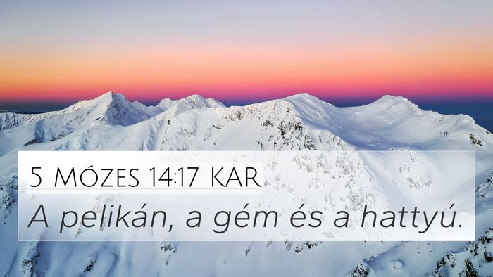 5 Mózes 14:17 KAR 4K Wallpaper - A pelikán, a gém és a - 4K Wallpaper Bible Verse