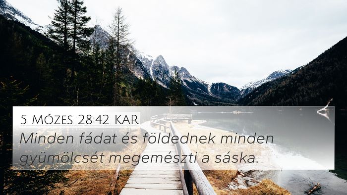 5 Mózes 28:42 KAR Bible Verse Image