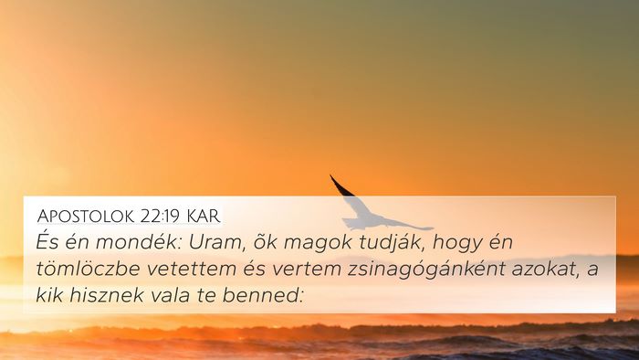 Apostolok 22:19 KAR Bible Verse Image