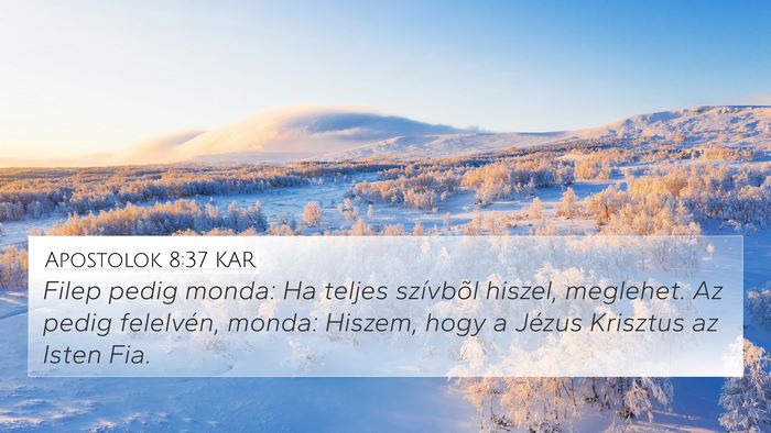 Apostolok 8:37 KAR 4K Wallpaper - Filep pedig monda: Ha teljes szívbõl hiszel, - 4K Wallpaper Bible Verse