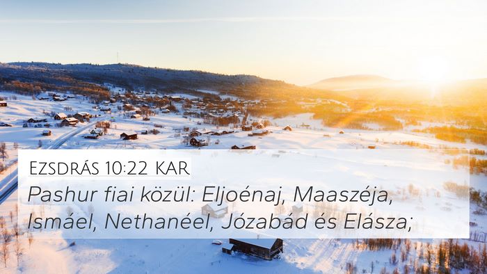 Ezsdrás 10:22 KAR Bible Verse Image