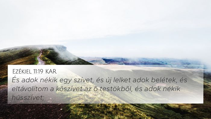 Ezékiel 11:19 KAR Bible Verse Image