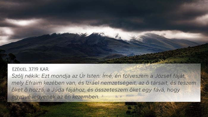 Ezékiel 37:19 KAR Bible Verse Image
