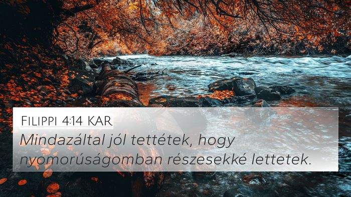 Filippi 4:14 KAR Bible Verse Image