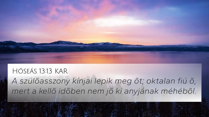 Hóseás 13:13 KAR Bible Verse Image