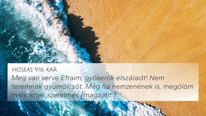 Hóseás 9:16 KAR Bible Verse Image